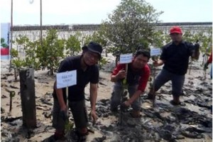 Rektor Universitas Kuningan (Uniku) Dr. Iskandar, MM sasat menaman bibit pohon di Desa Desa Jadimulya Kecamatan Gunung Jati, Kabupaten Cirebon.
